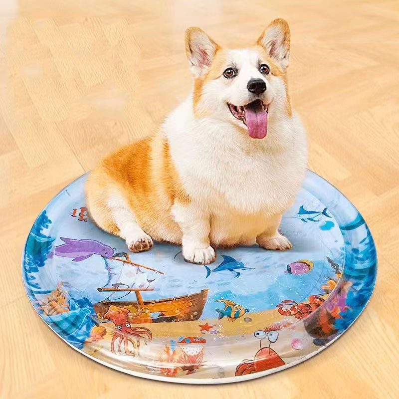 เสื่อเล่นประสาทสัมผัสทางน้ำแบบ - Slip Slide Water Mat บทวิจารณ์และราคา